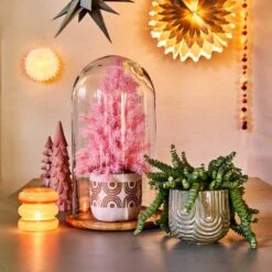 Crassula In Hangpot (Crassula Marnieriana 'Hottentot') D 14 H 30 Cm -Groene Tuin Winkel 8717263115069 2 2