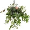 Lipstickplant In Hangpot (Aeschynanthus Marmoratus) D 15 H 25 Cm -Groene Tuin Winkel 8717263290537
