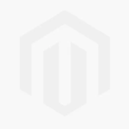 Vijgenboom (Ficus Microcarpa 'Moclame') D 24 H 90 Cm 3 Vijgenboom (Ficus Microcarpa 'Moclame') D 24 H 90 Cm