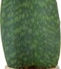Vrouwentong (Sansevieria Masoniana 'Victoria') D 17 H 60 Cm