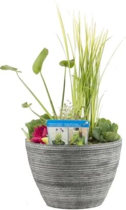 Terrasvijver Met Waterplanten Grijs D 40 H 35 Cm