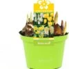 Bollen Mix (Parade Geel) D 12 H 12 Cm -Groene Tuin Winkel 8718924506264