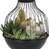 Intratuin Arrangement Metalen Kooi Met Lamp D 21 H 26 Cm -Groene Tuin Winkel 8720196505999 1