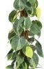 Philodendron Op Mosstok (Philodendron Scandens 'Brasil') D 27 H 150 Cm -Groene Tuin Winkel 8720196658497 1