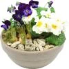 Intratuin Arrangement Voorjaar D 23 H 21 Cm -Groene Tuin Winkel 8720196695546