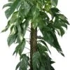 Drakenklimop Op Duurzame Klimstok (Epipremnum Pinnatum 'Albo Variegata') D 24 H 125 Cm -Groene Tuin Winkel 8720196798247