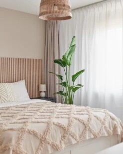 Paradijsvogelplant (Strelitzia Nicolai) D 27 H 150 Cm -Groene Tuin Winkel 8720256488453 25