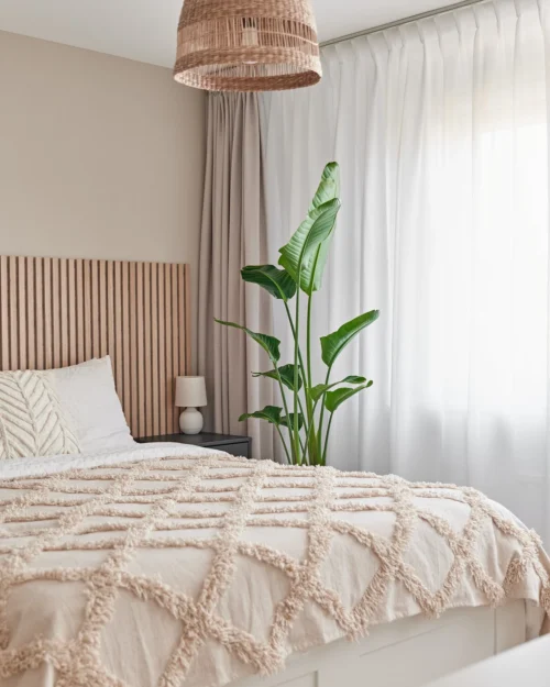 Paradijsvogelplant (Strelitzia Nicolai) D 27 H 150 Cm -Groene Tuin Winkel 8720256488453 25